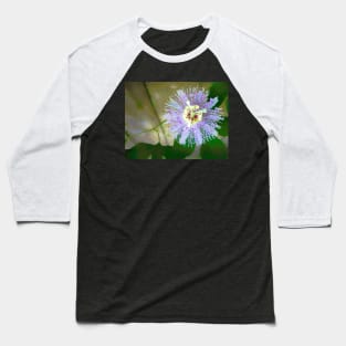 Passion flower close-up in impressionist style - a study in green and purple Baseball T-Shirt